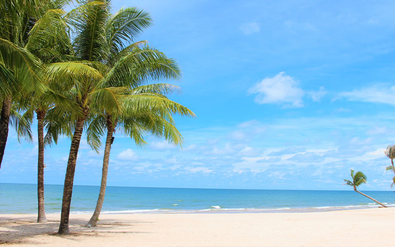 ロケーションオプション